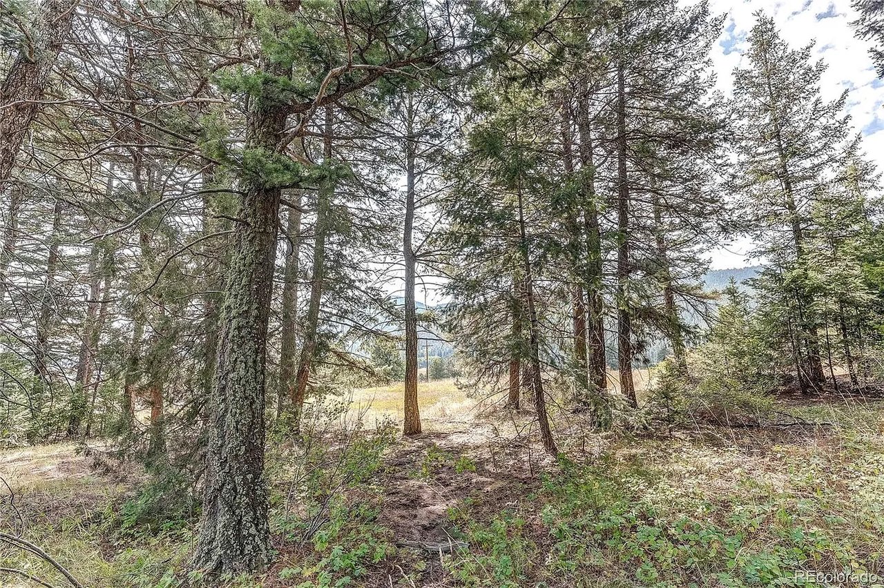 9335 Eagle Cliff Rd LOT 1