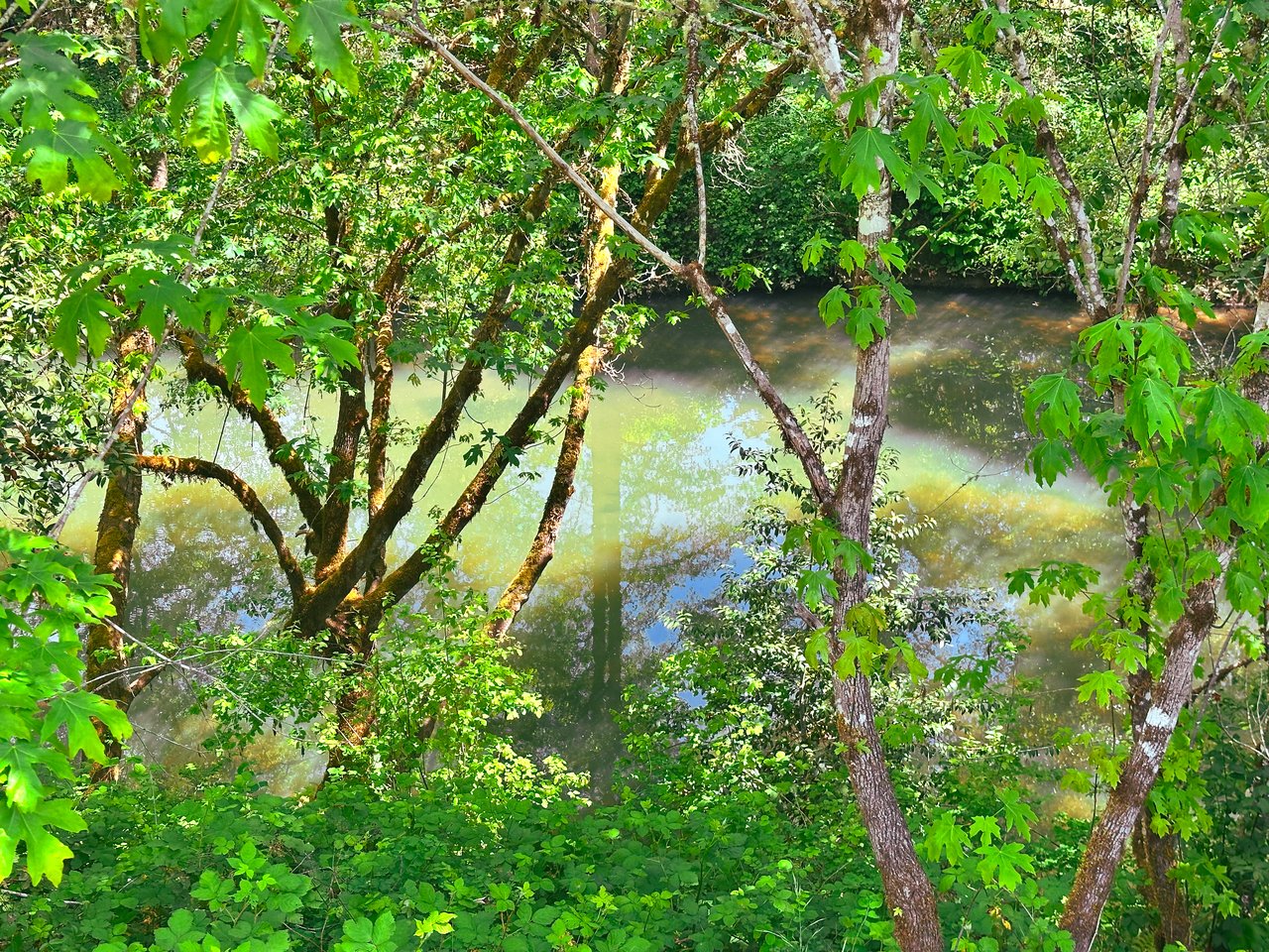 STRICKLAND CANYON HOMESITE