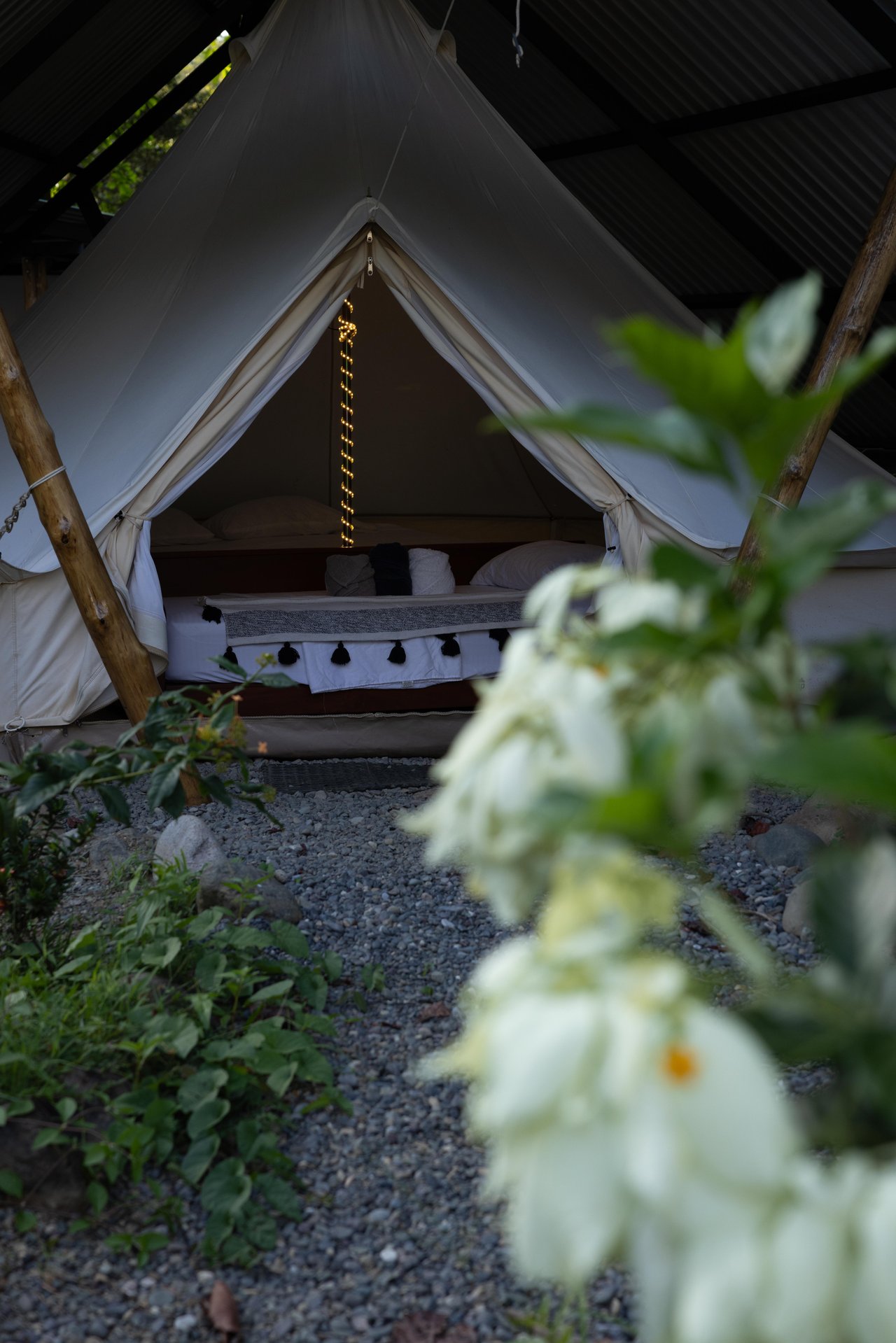 12.5 Acre property In-town for expansion, Enjoyment or Development