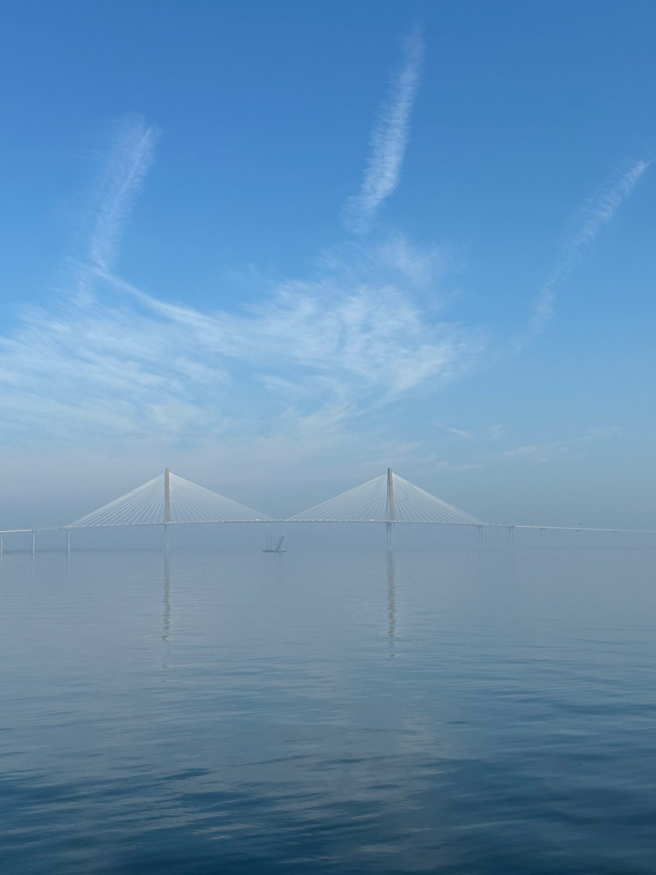 What are the cons of living in Charleston, SC