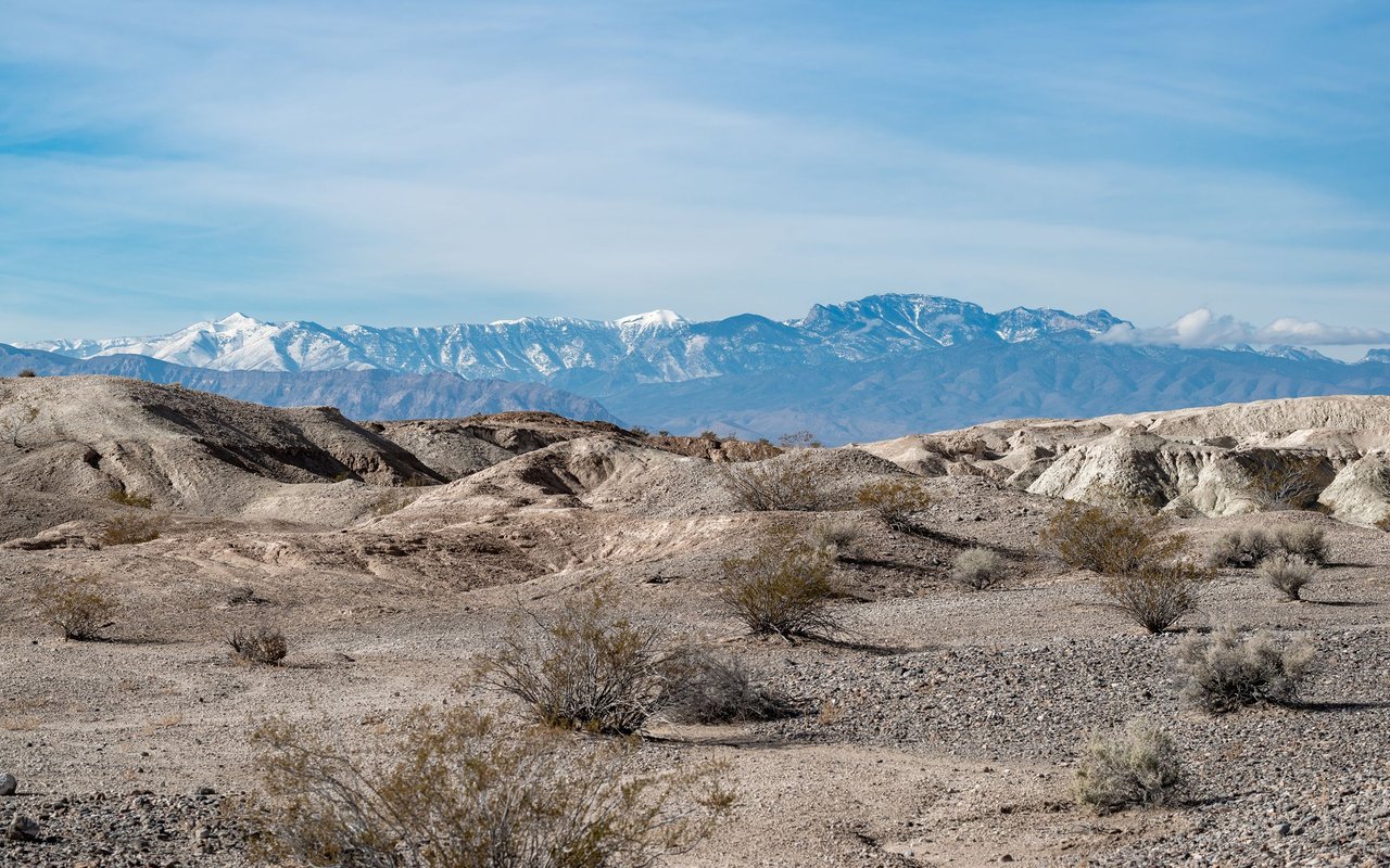 Tule Springs