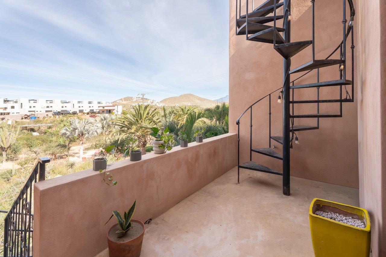 Main studio patio at The Studio House in Villas de Cerritos with terrace seating and cactus garden views in Cerritos, Baja California Sur.