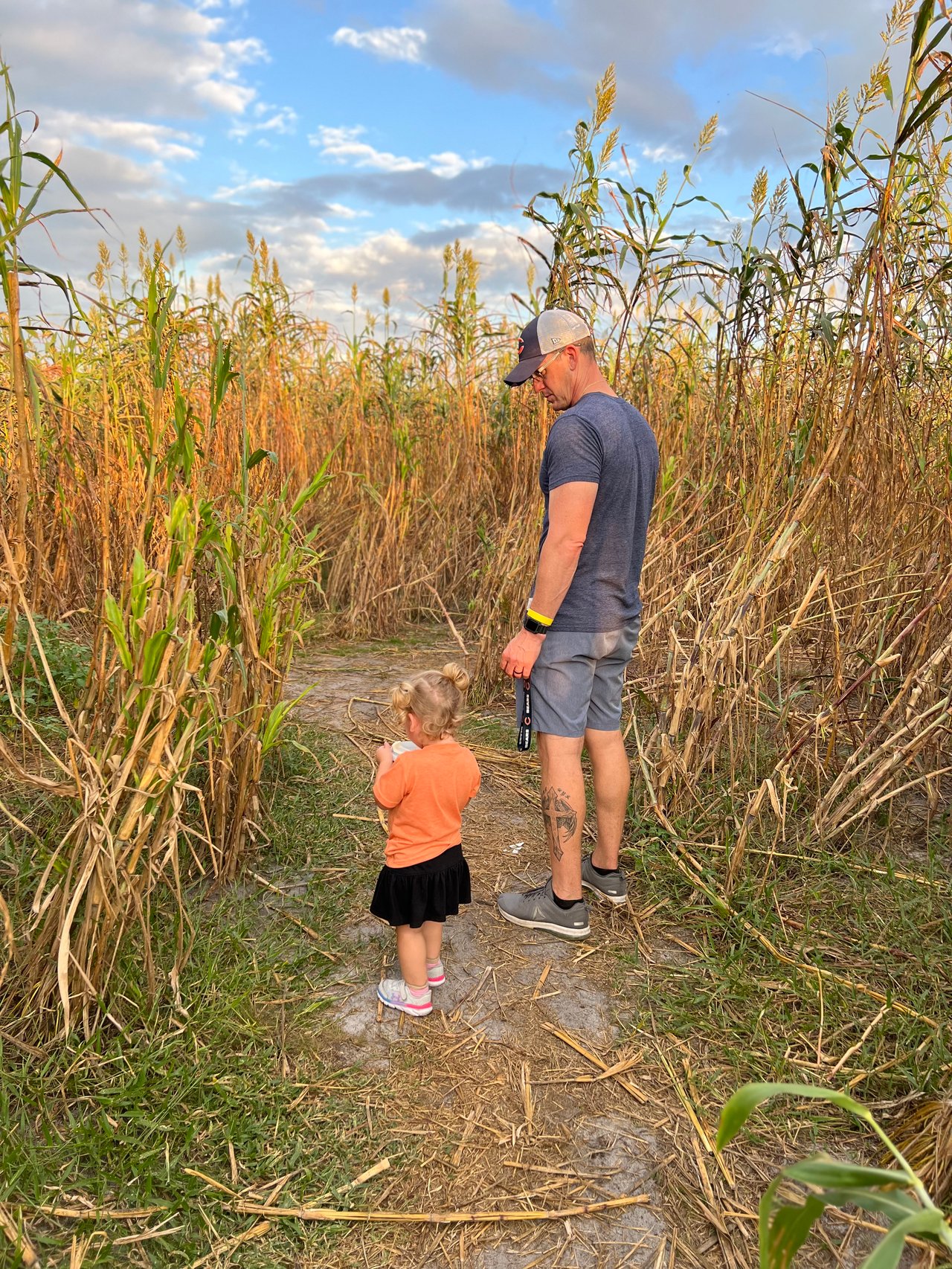 🎃 Fall Fun in Lakeland, Florida: Pumpkin Patches, Corn Mazes, & Family Events This October