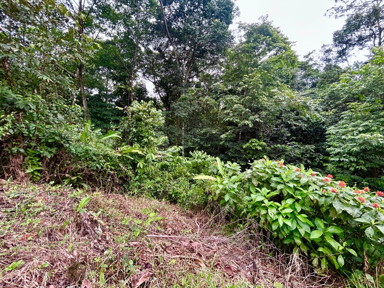 Beautiful Lot in Phase 9 Ojochal, Gated Communuity - NOW WITH LEGAL WATER