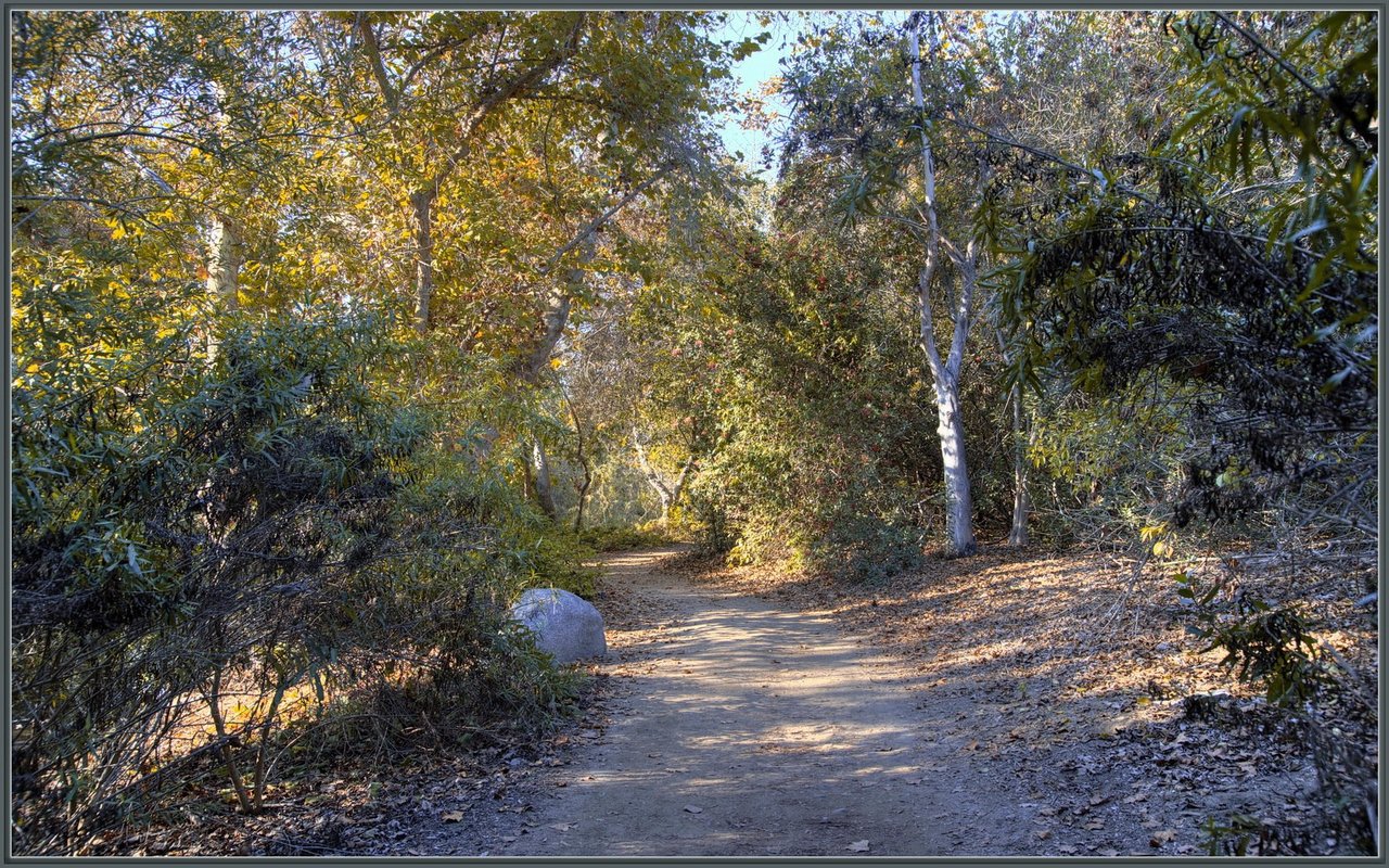 Wooded walking trail at El Dorado Nature Center in Long Beach