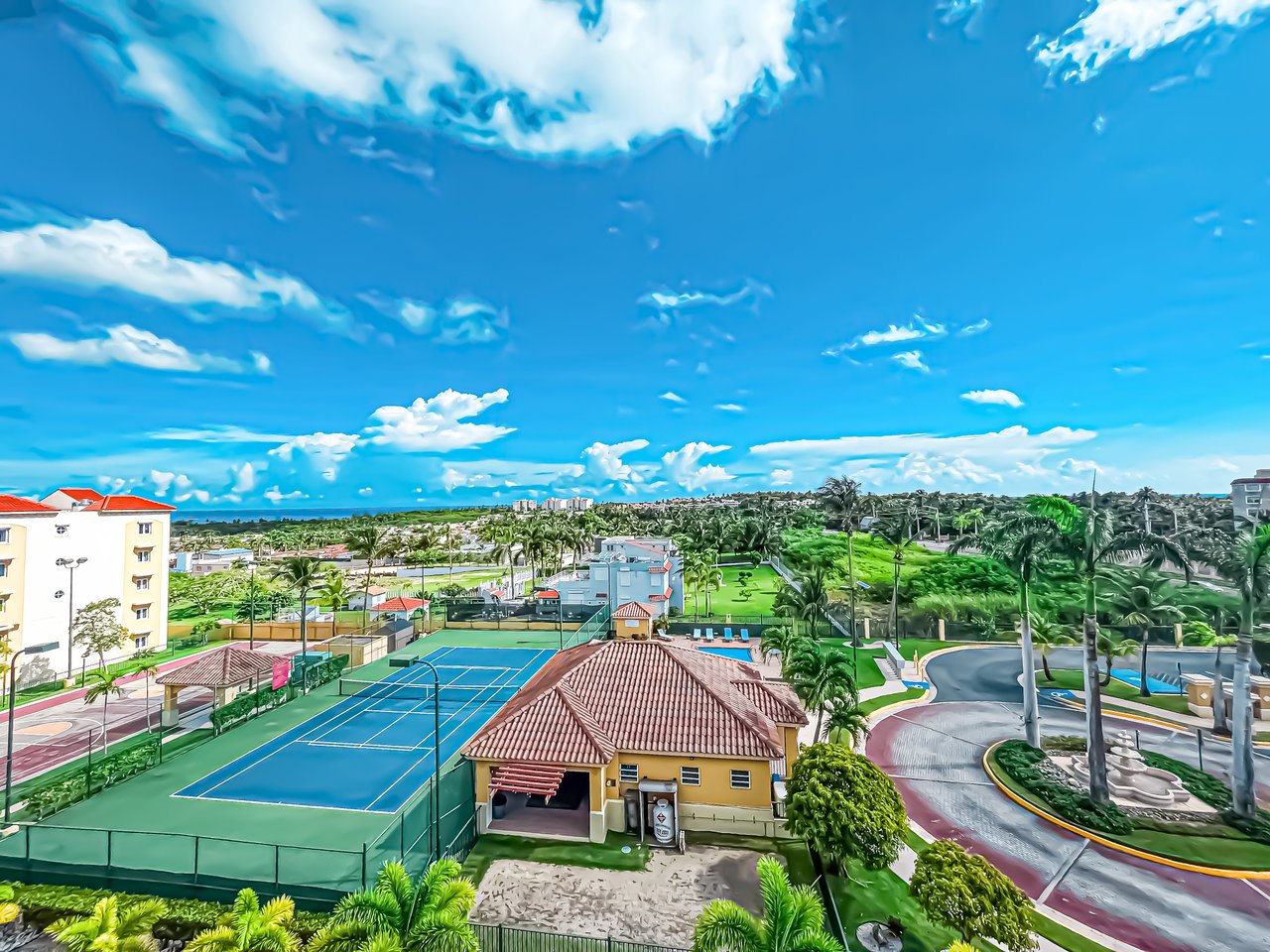 Royal Palm B-502