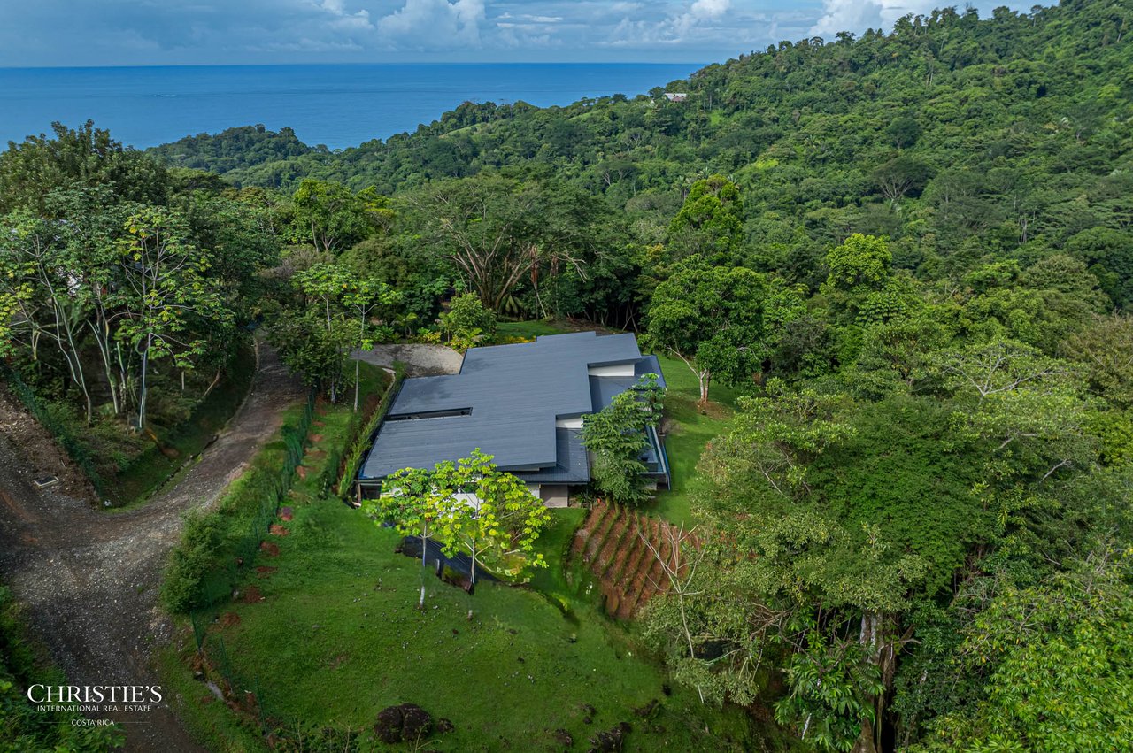 Modern Tropical Home at Las Colinas #23