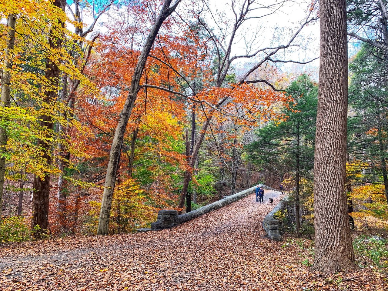 Autumn woodland trail and stone bridge, with colorful leaves, walkers, and a dog.
