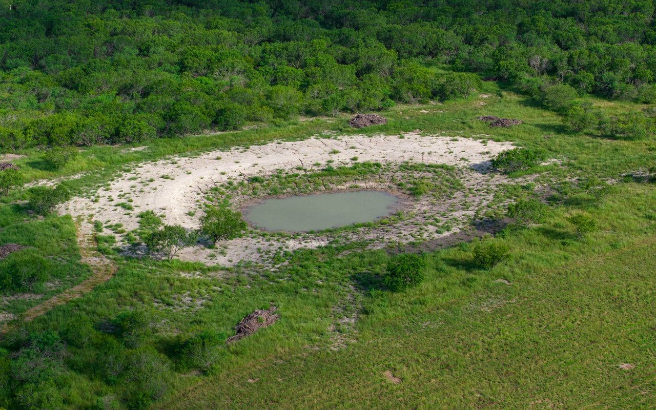 Live Oak County 26 Acres