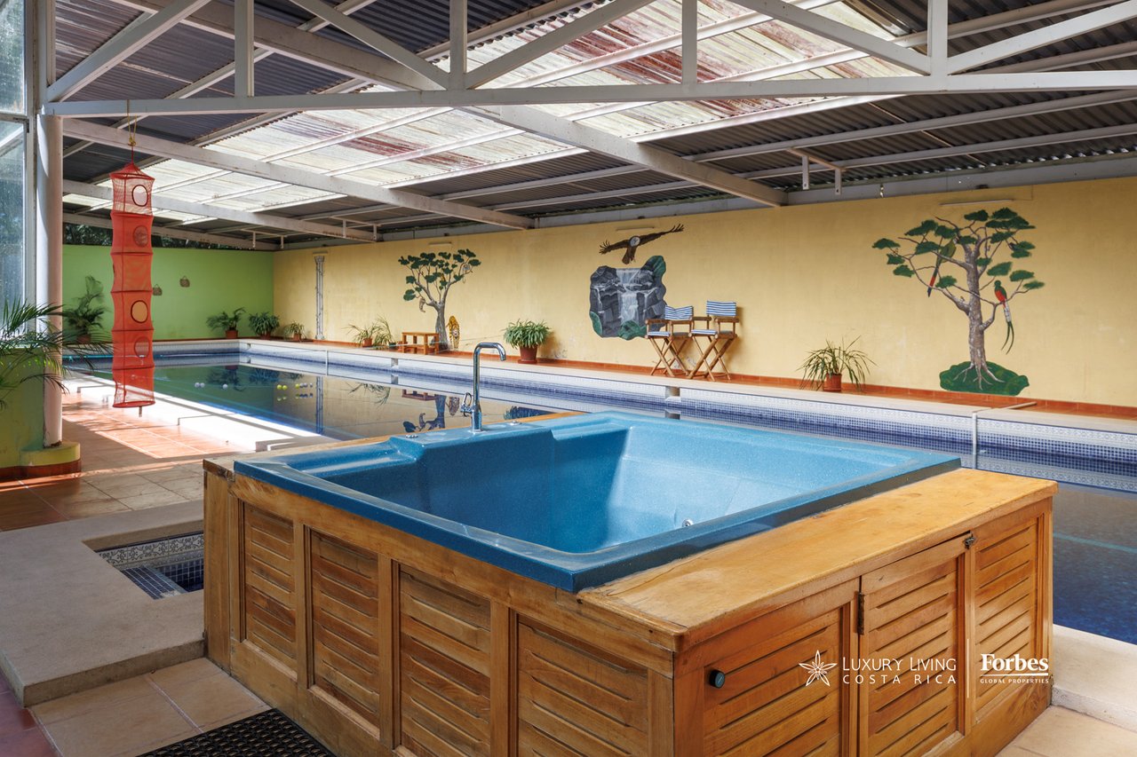 Indoor pool and blue-tiled hot tub beneath a metal roof, with painted nature murals on the walls.