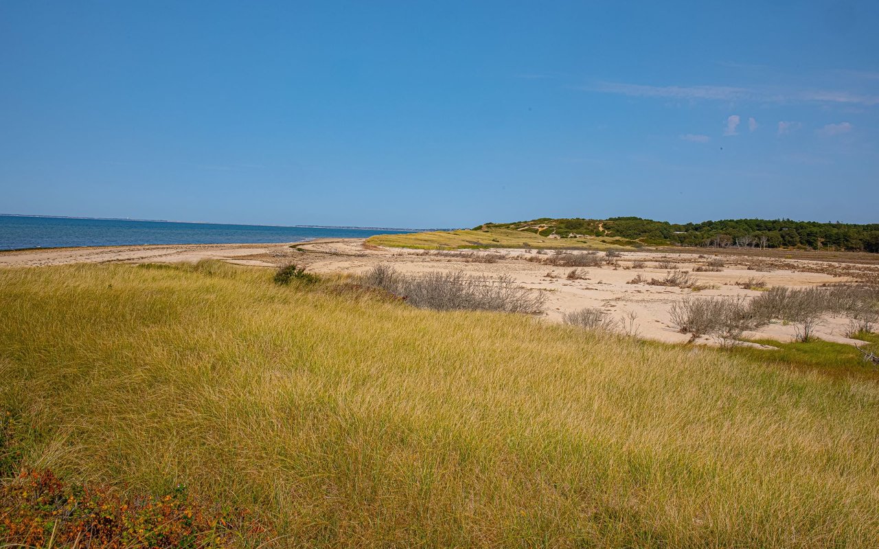 Wellfleet