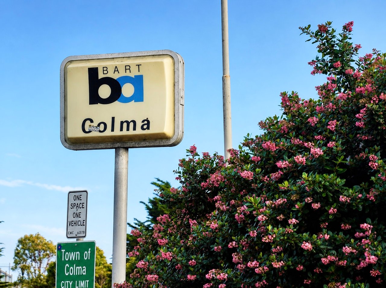 964 Gellert Blvd