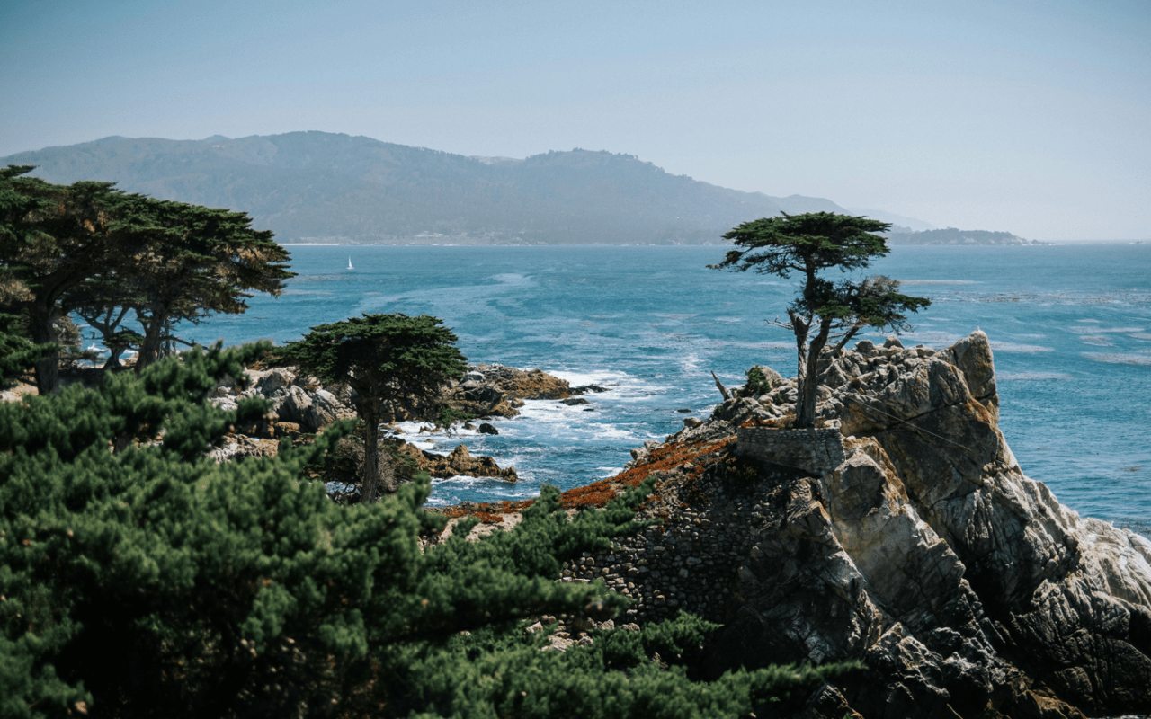 A Guide to Pebble Beach Parks