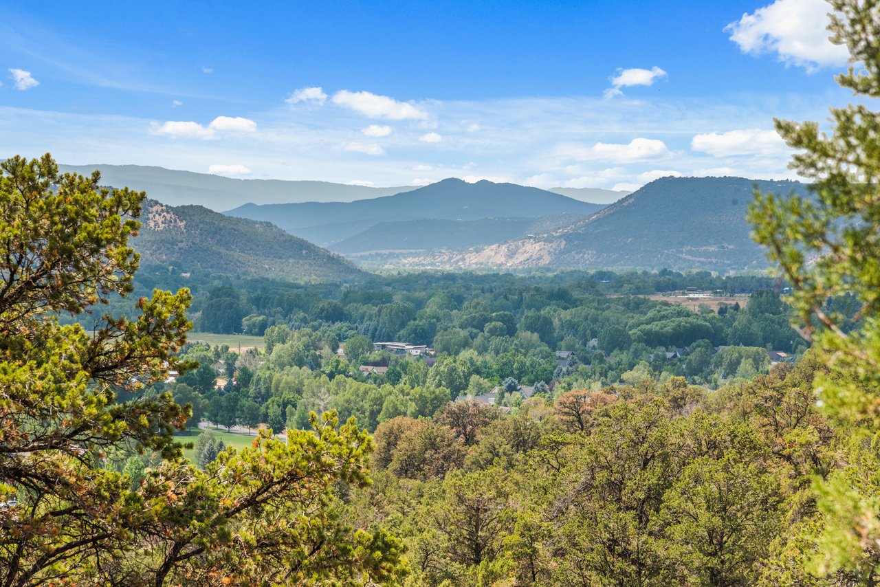 Centrally Located Mountain Chalet in Basalt 