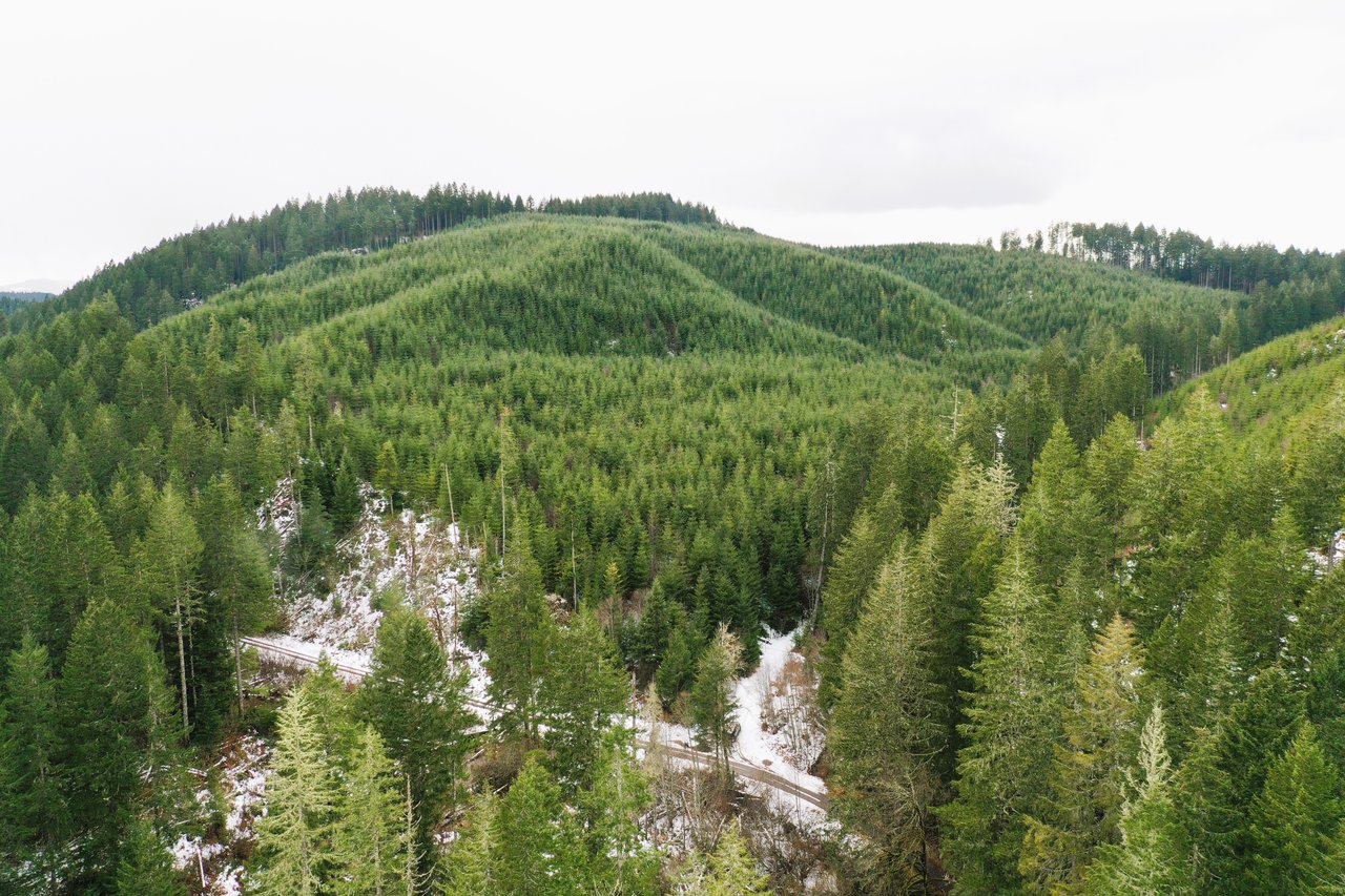 ARC Woods