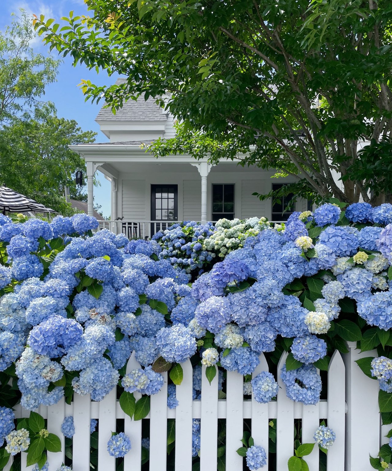 Home Search