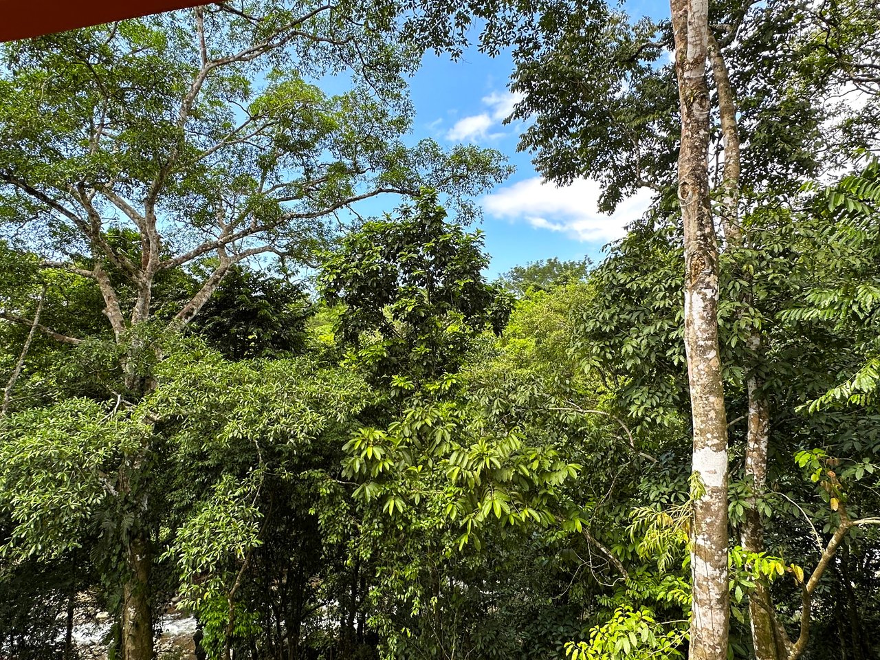 FIRE SALE! Jungle, Rivers, a Waterfall and Panoramic Ocean View