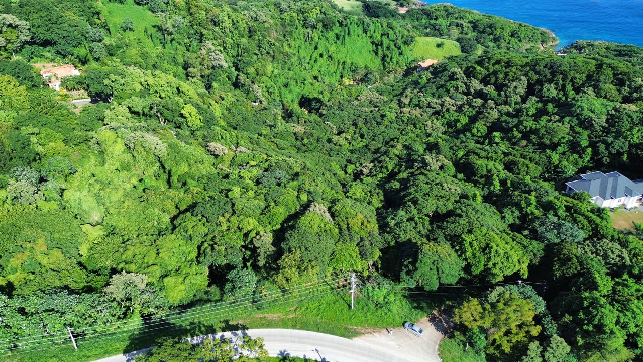 Rdft Property in West Bay (4 acres)