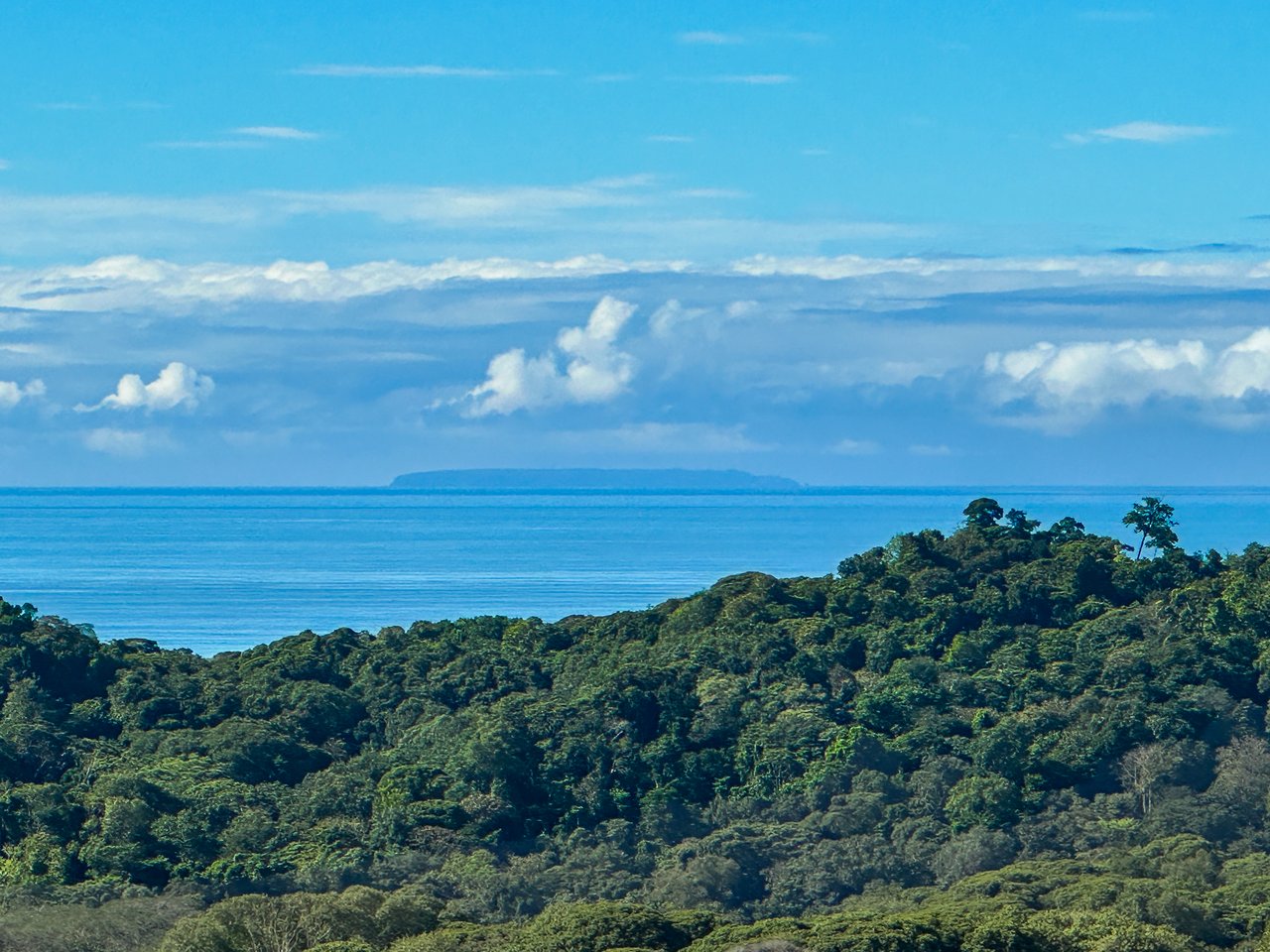 Brand New Oceanview Luxury Home- 'The Look of the Jaguar'