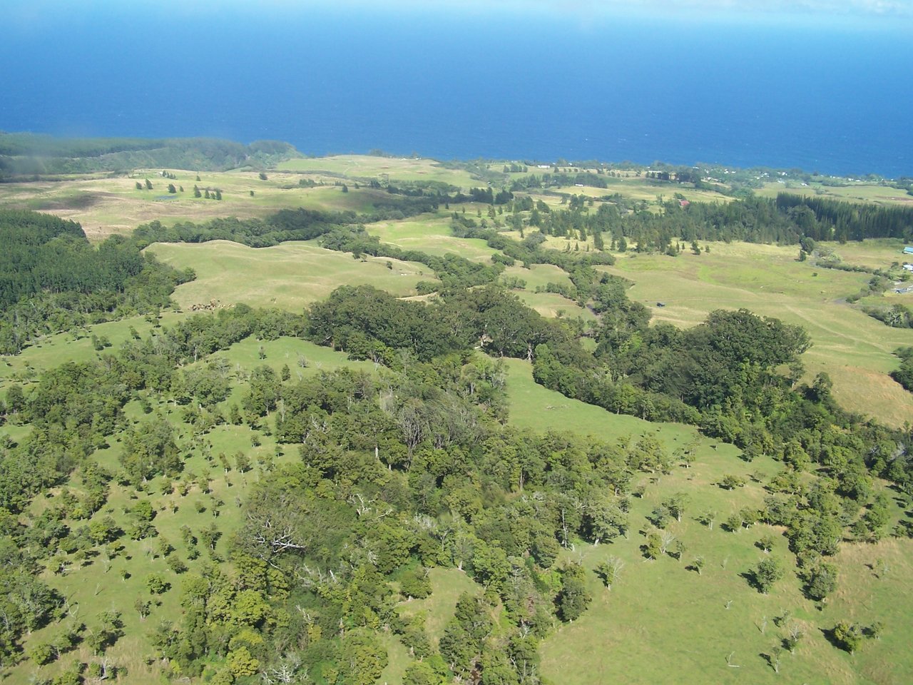 HAMAKUA COAST BIG ISLAND