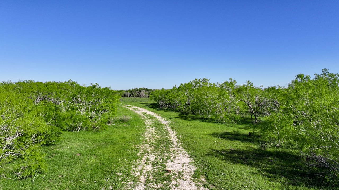 Gonzales County 20 Acres