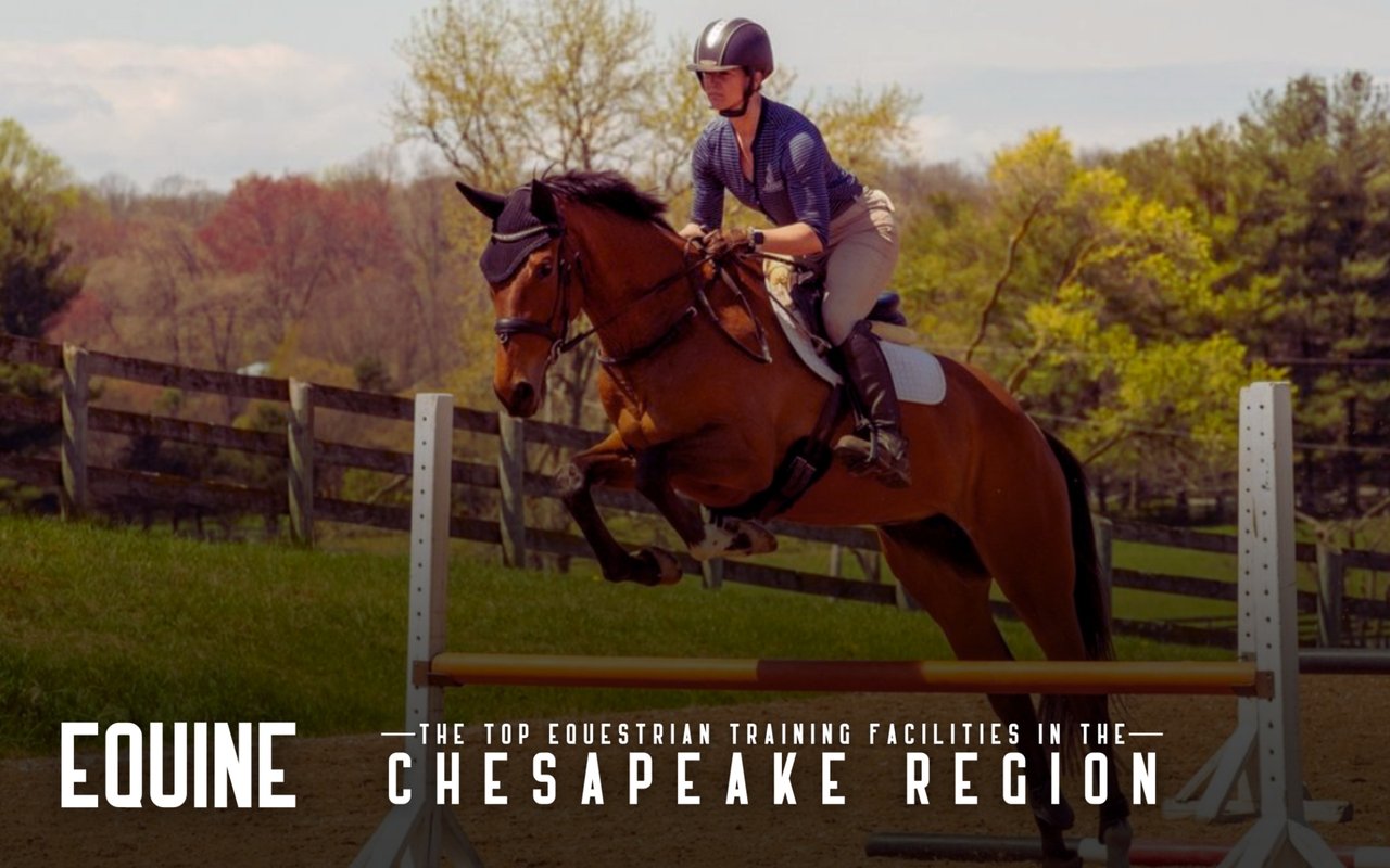 The Top Equestrian Training Facilities in the Chesapeake Region