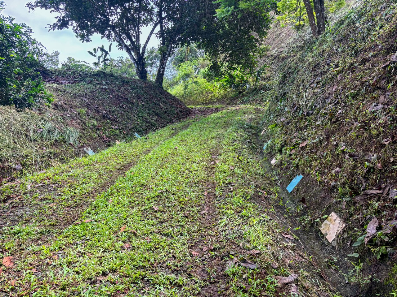 3.6 Acre Ocean View, Near the Beach & Cool Mountain Elevation