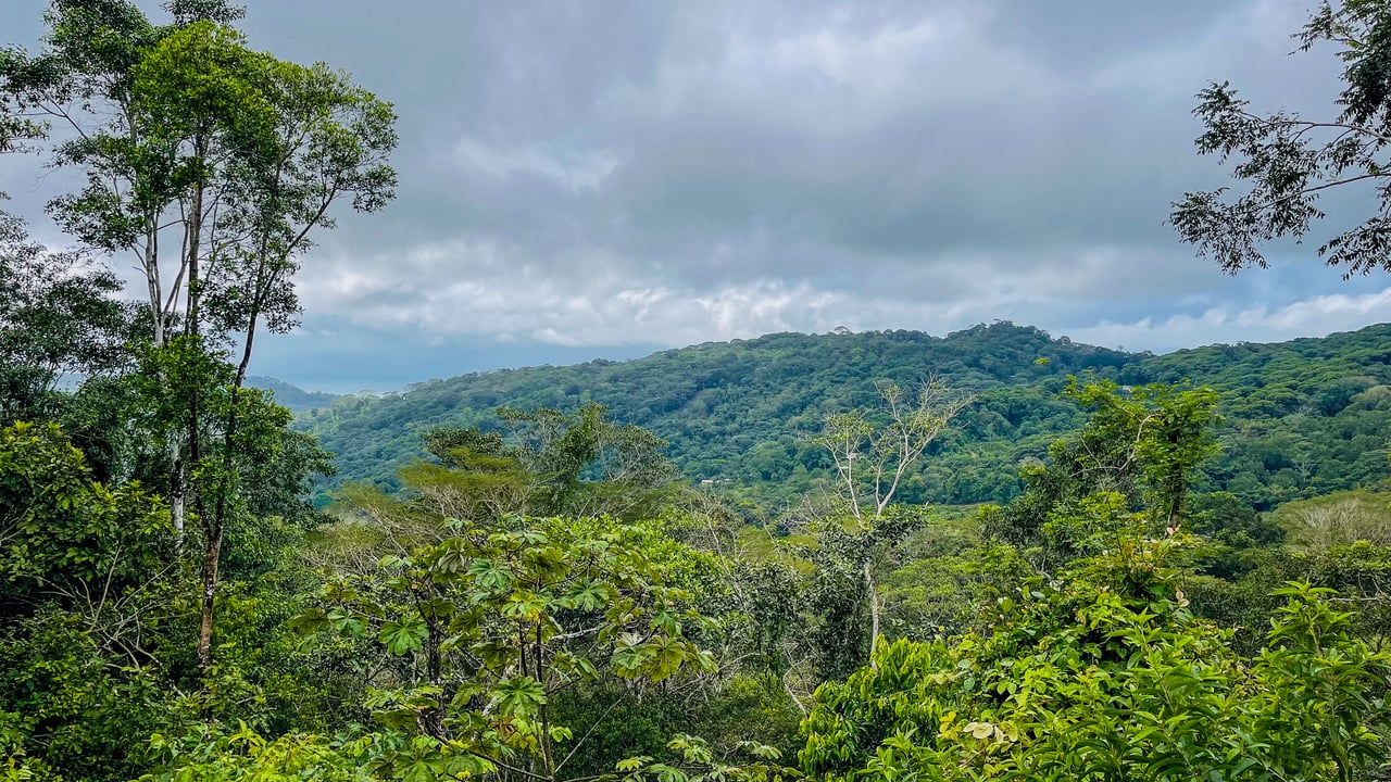 Jungle Canopy Retreat with Ocean, Cano Island & Mountain Views Near Dominical