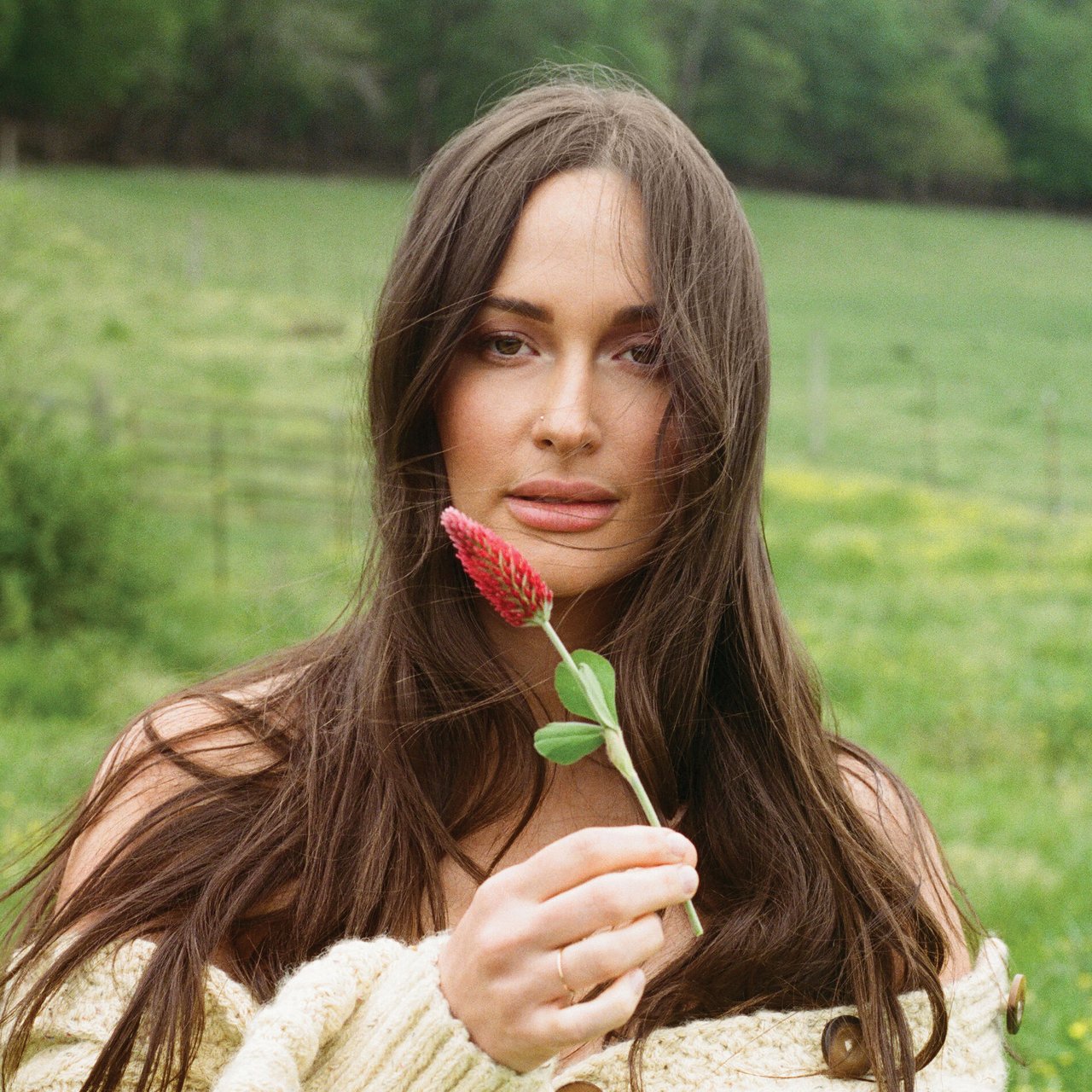 Kacey Musgraves image