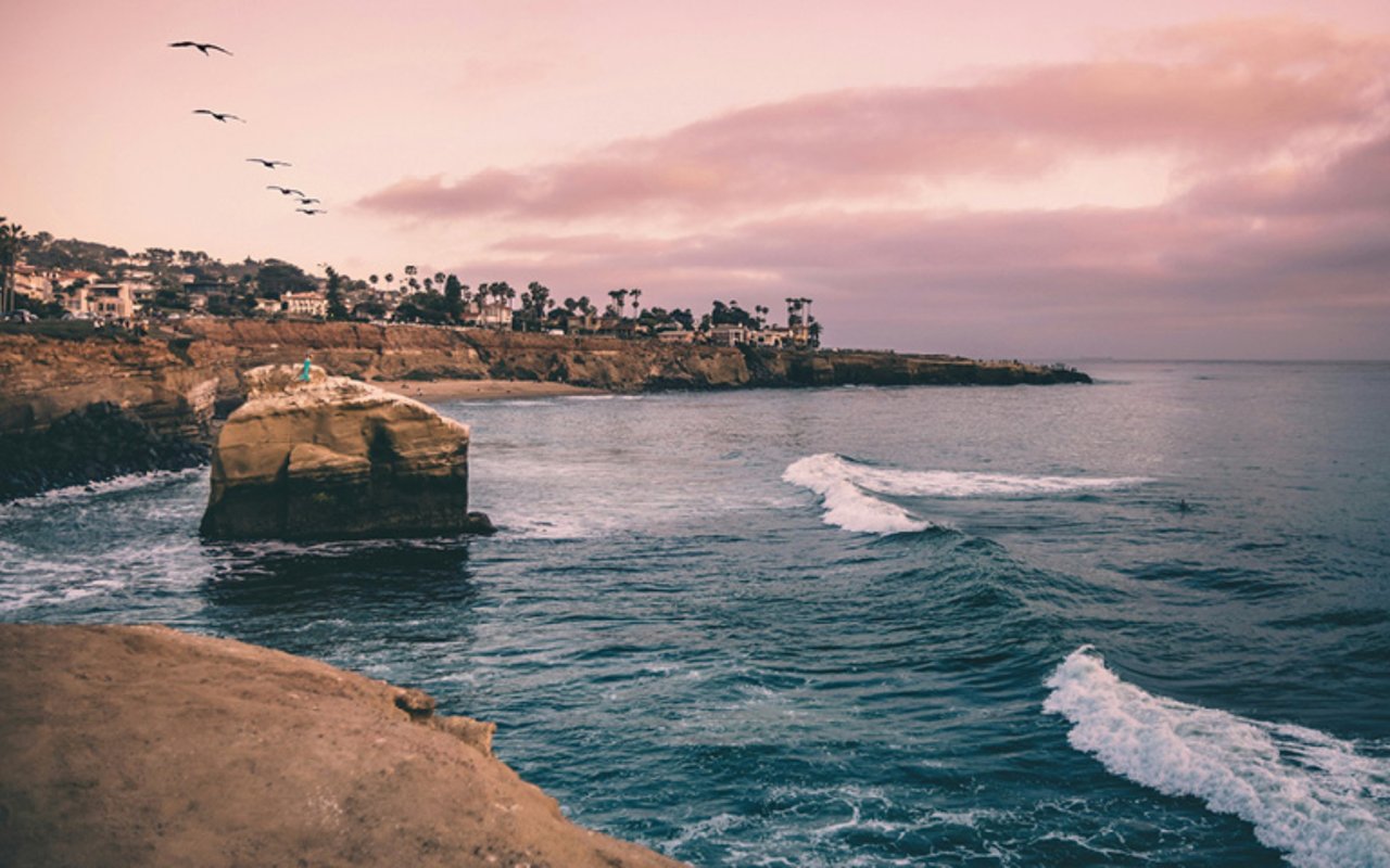 the san diego rennie advance | May 2026