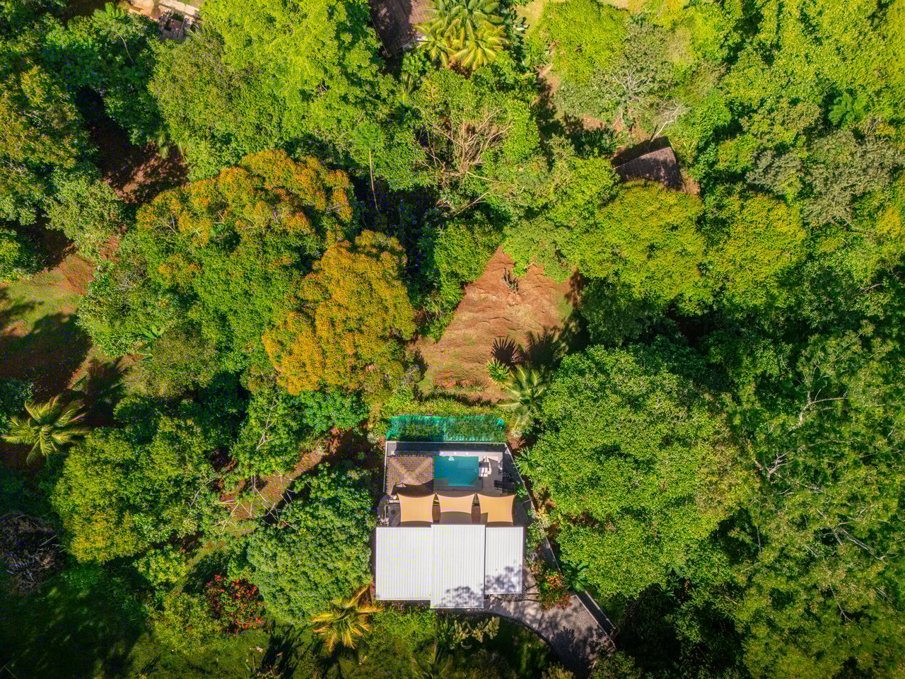 Casa Chiquita - Ocean View Retreat in the Heart of Ojochal – 3 Bed, 3 Bath with Pool, Fruit Trees & Prime Location
