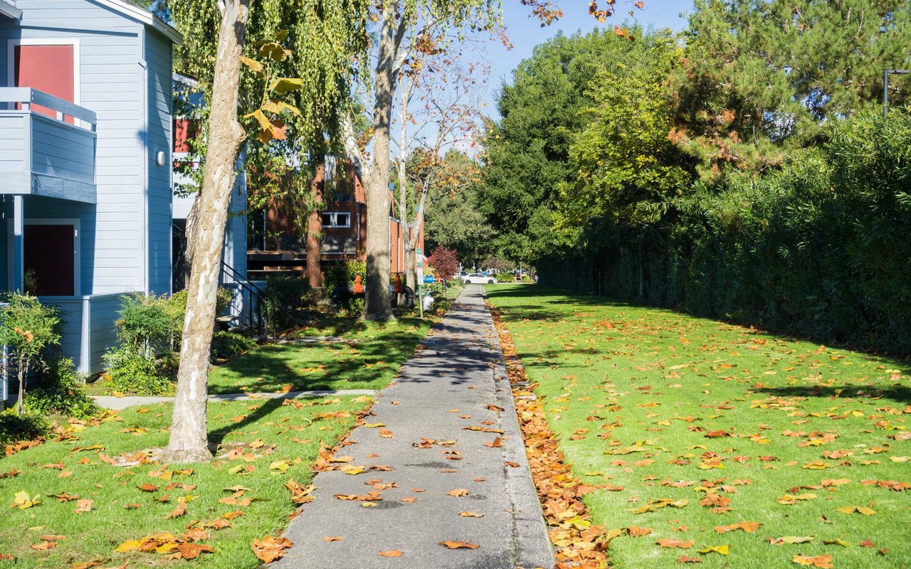 Sunnyvale