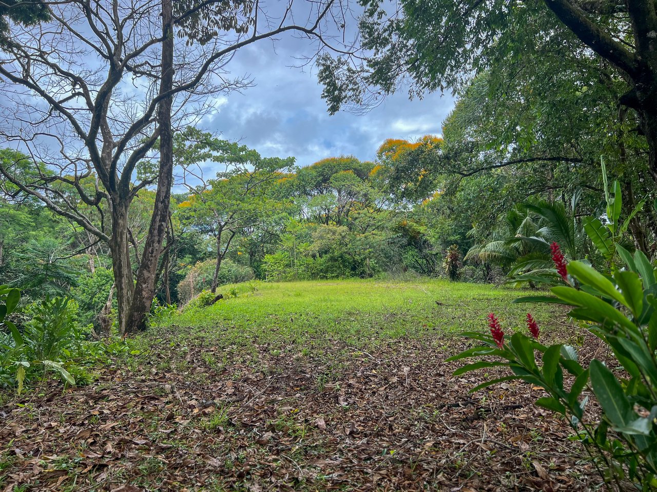 Casa Canto del Río ✨ – A Natural Gem with Modern Comfort in the Heart of the Tropical Jungle
