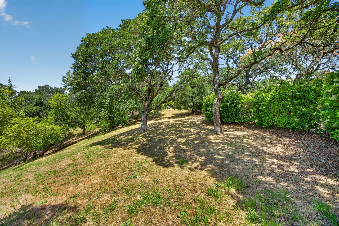 Expansive & Private Novato Estate
