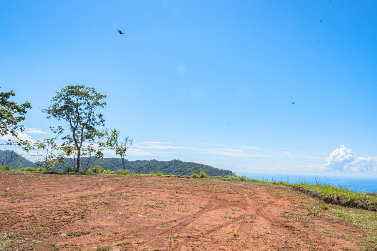 A Rare Thermal-Wellness Development Opportunity - Cacao Estates