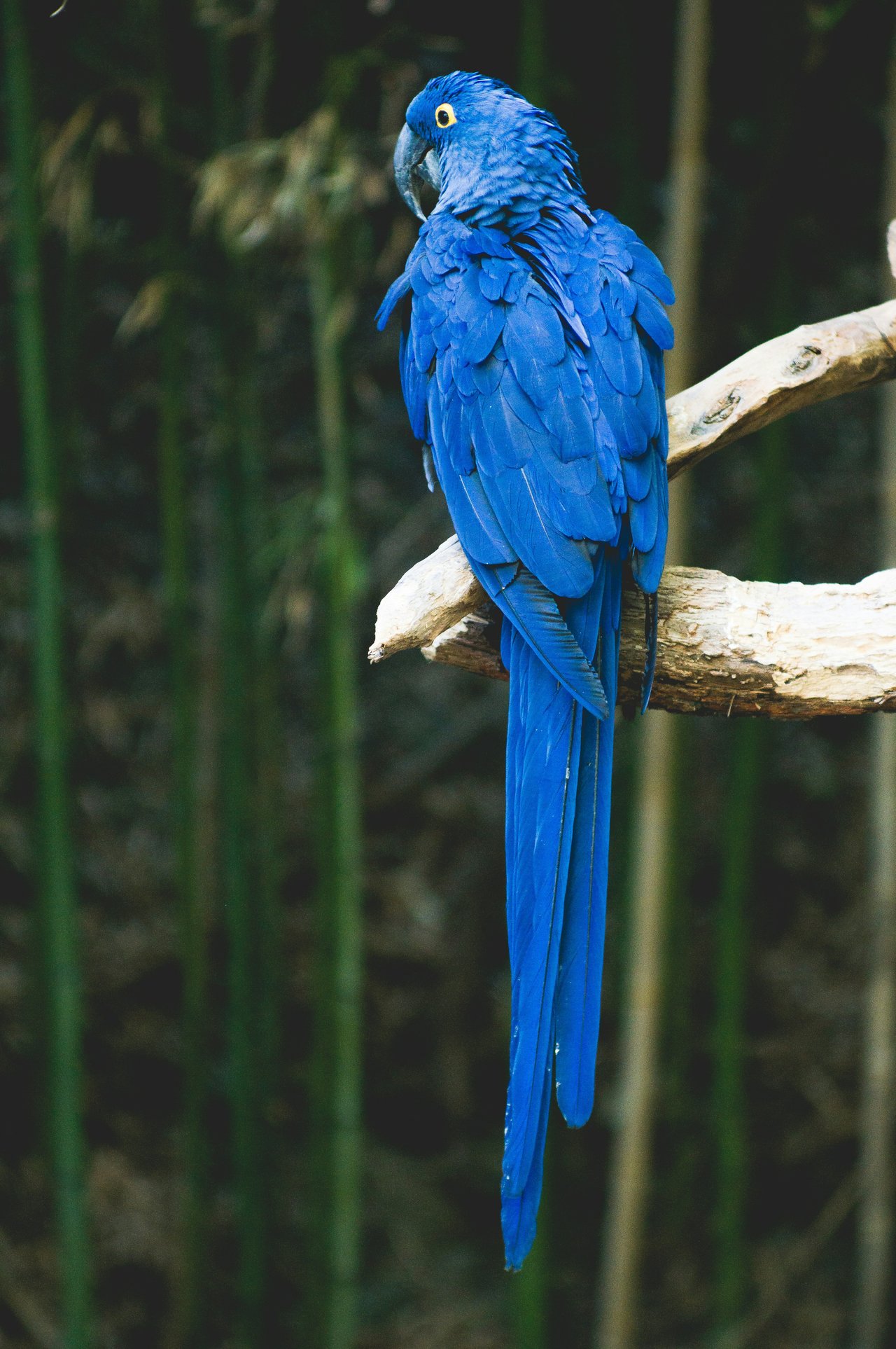 Rainy Memorial Day Weekend in Philadelphia & Bucks County – Things to Do at Philadelphia Zoo, Elmwood Park Zoo & Beyond | B&B Luxury Properties