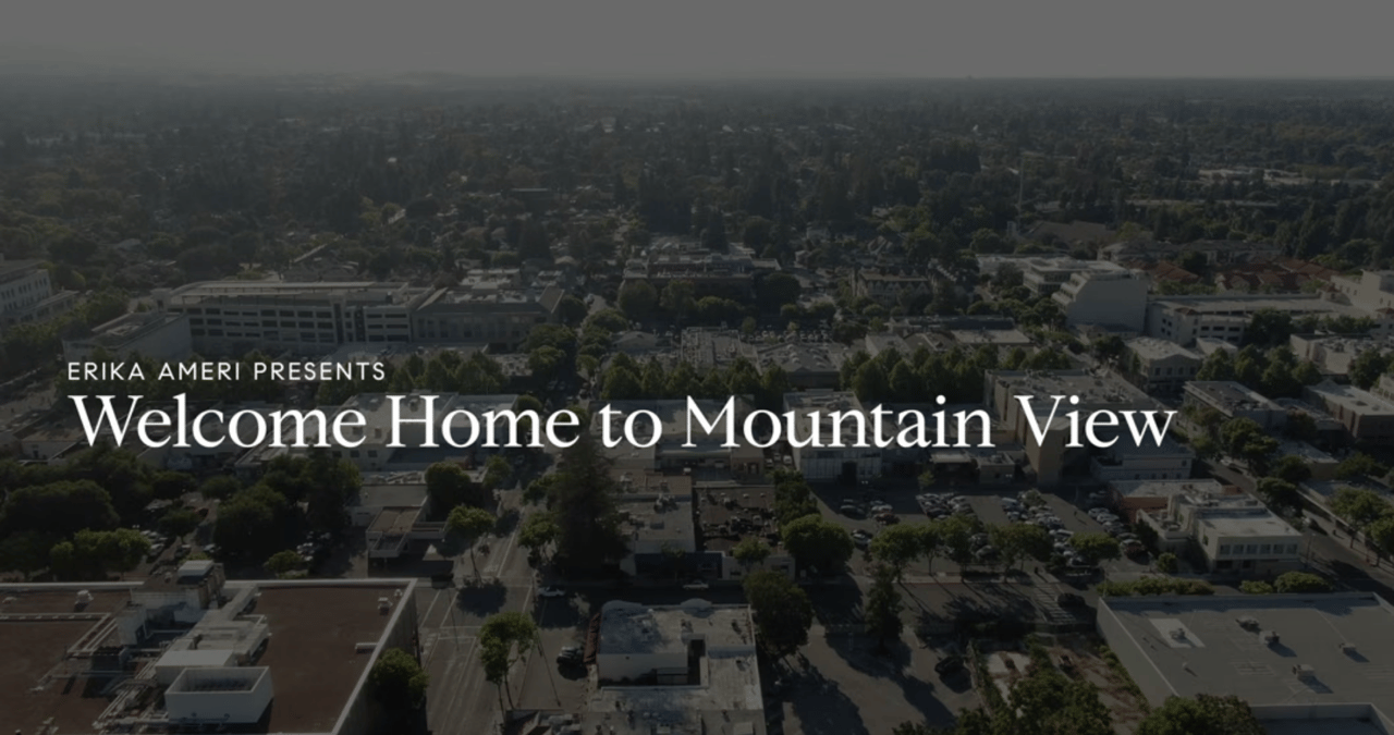 Erika Ameri Presents 909 Camille Lane, Mountain ViewBlu Skye Media, Inc.