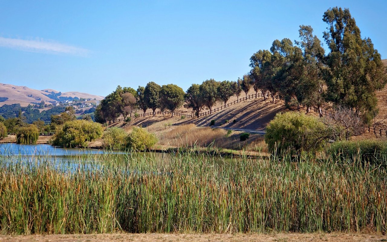 Milpitas