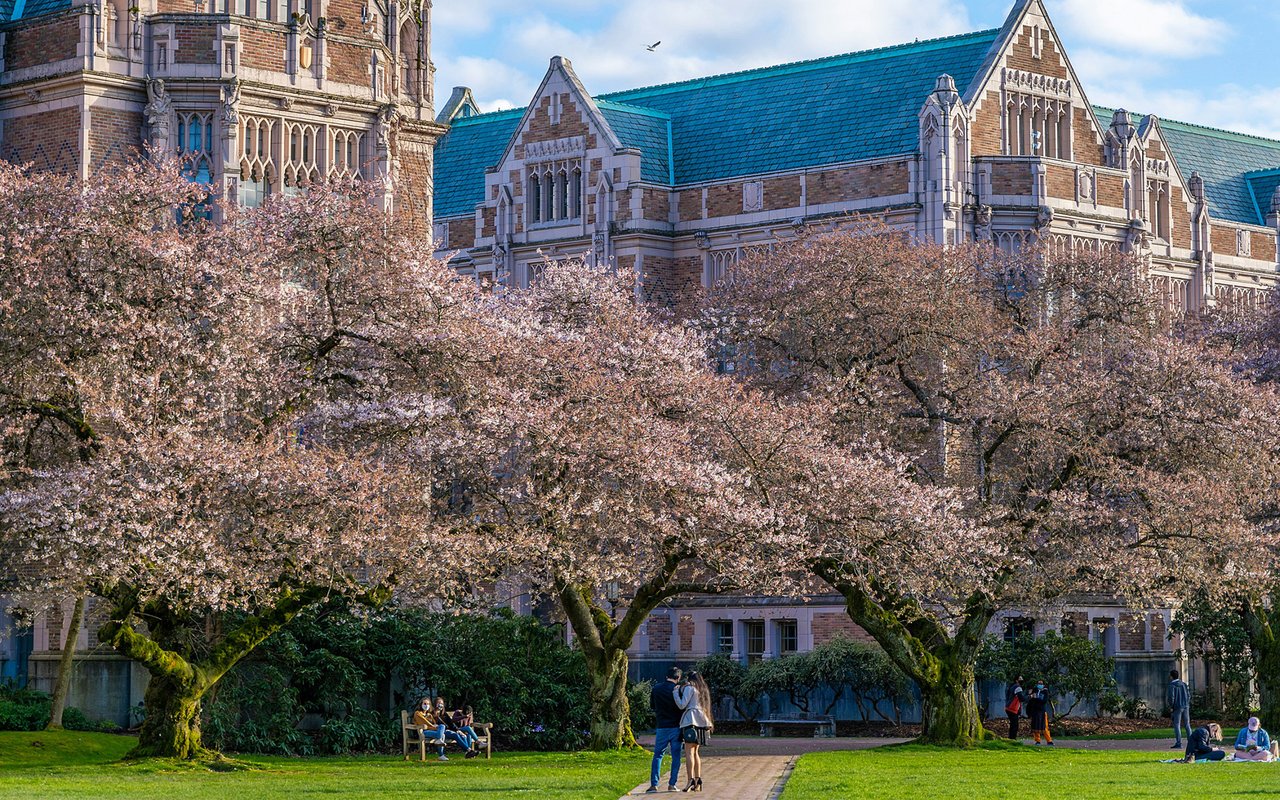 Seattle's University District Wonders