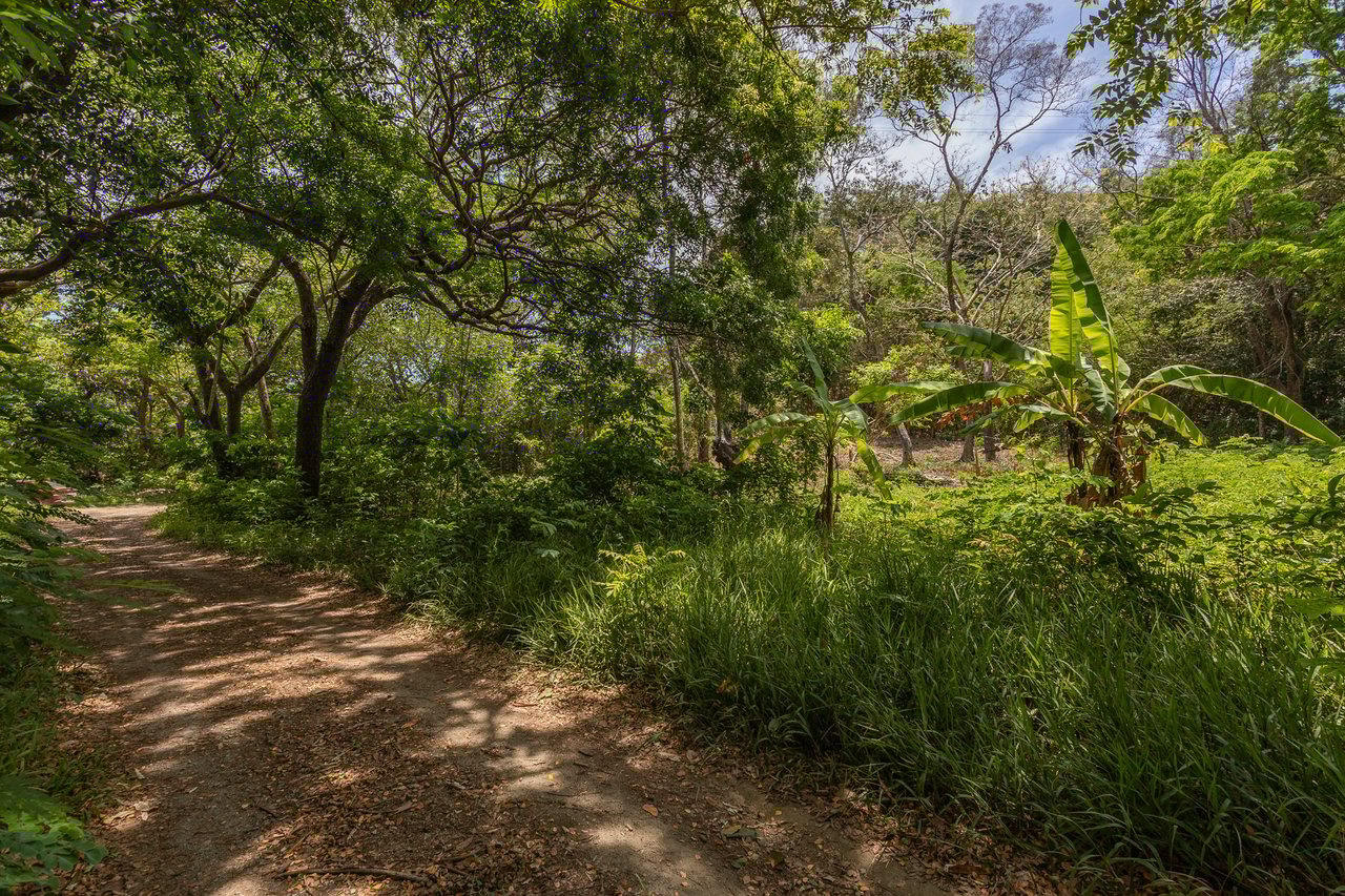 2.27 Acres close to Main Rd, Dixon Cove