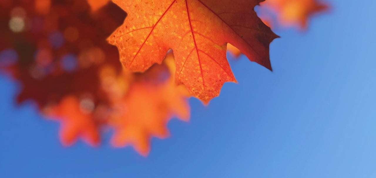 10 Ways to Make Your Fall Open House Extra-Cozy