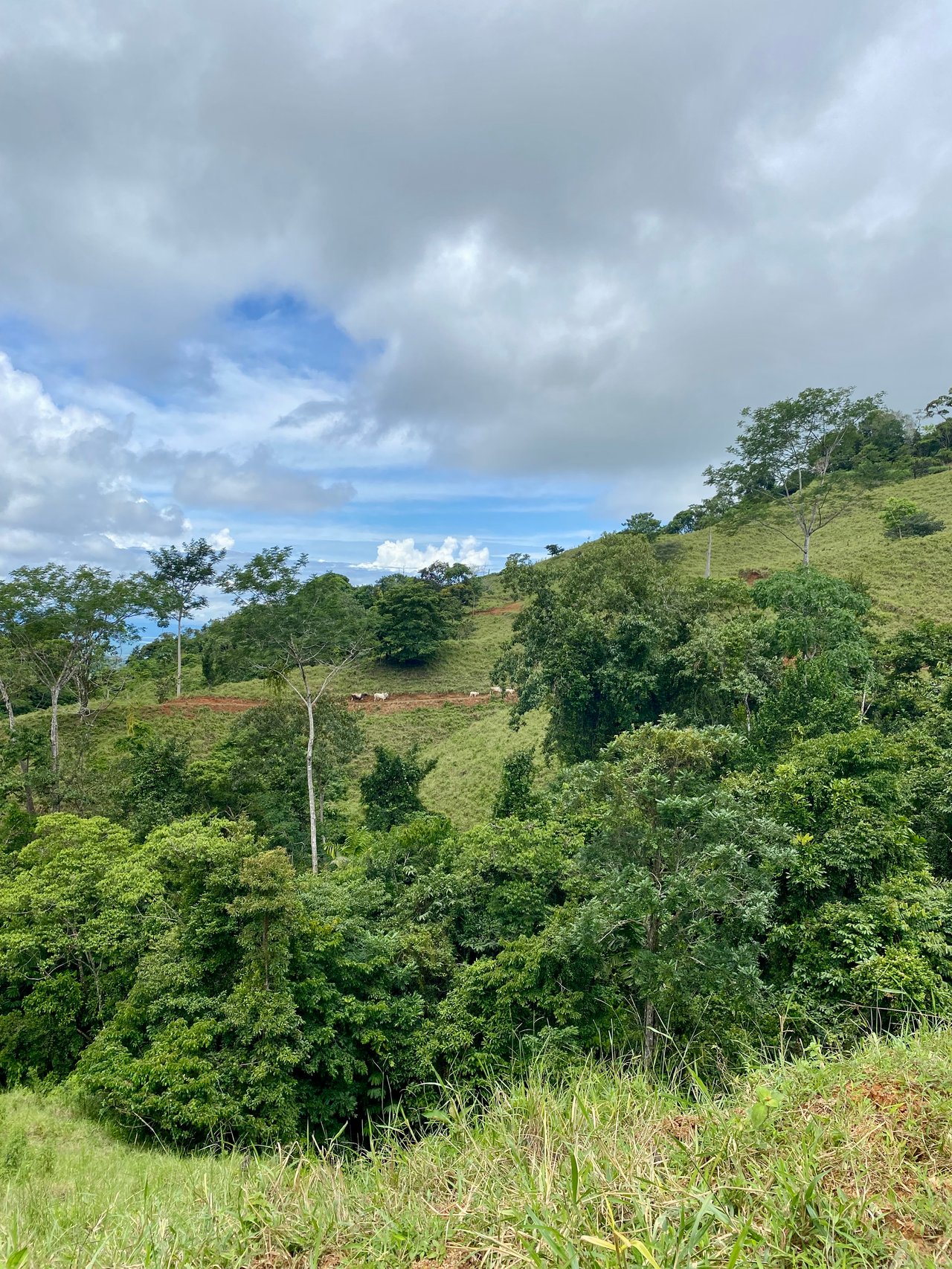Spectacular 70 Acre Multiple Waterfall Property with Dramatic Views Near Ojochal
