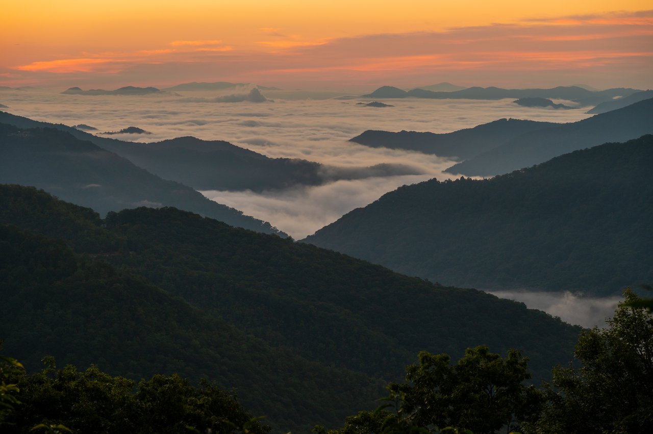 The Great Smoky Mountains