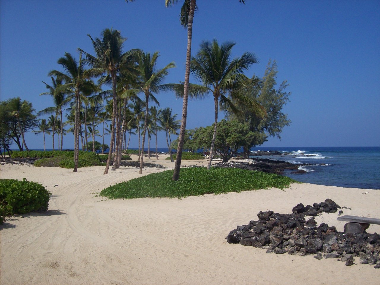 Kohala Coast Big Island