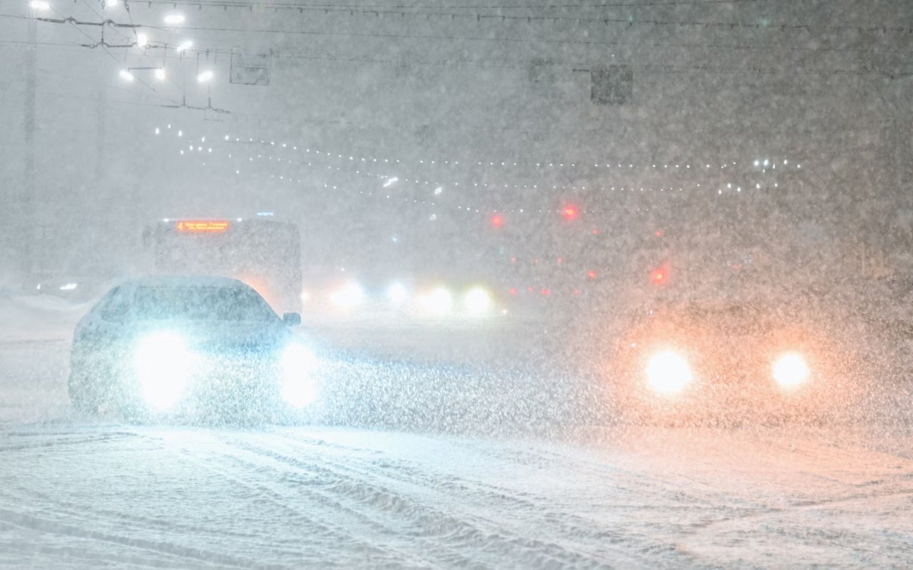 Outdoor Adventures in Lorne Park During the Winter Season