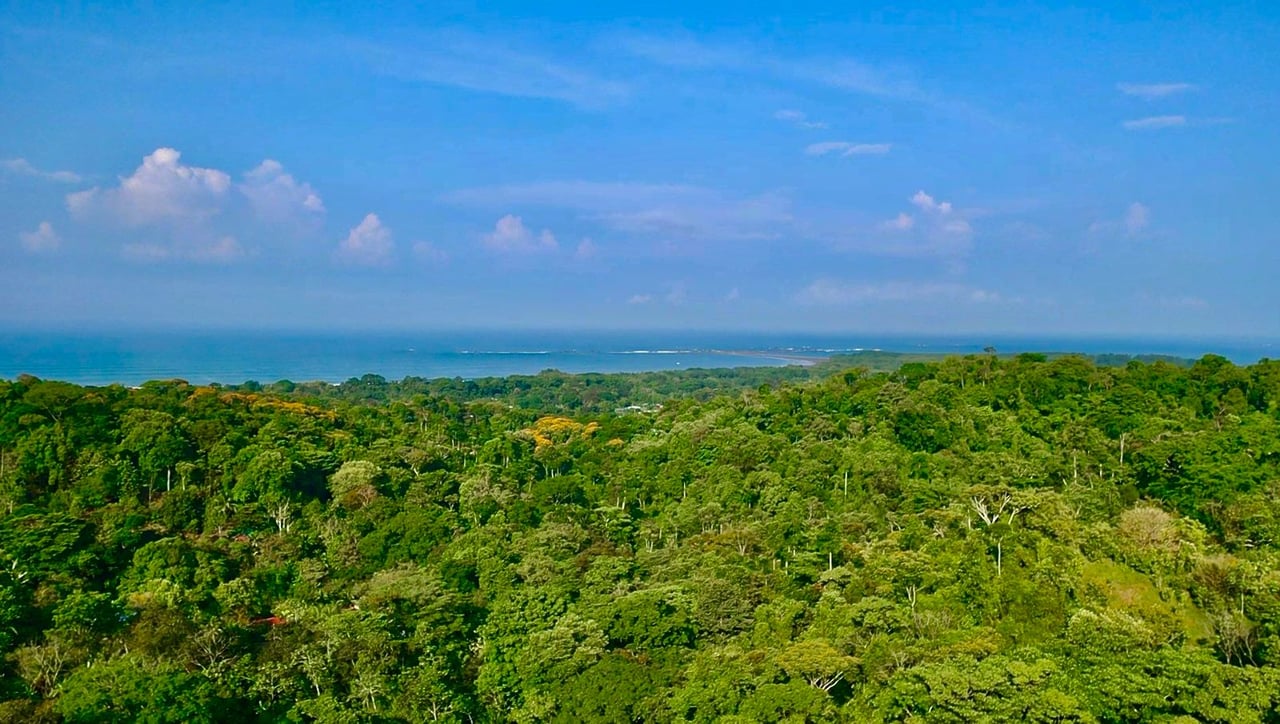 Prime Ocean and Whale tail View Development Land In Uvita