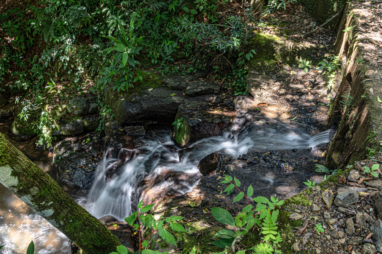 A Rare Thermal-Wellness Development Opportunity - Cacao Estates