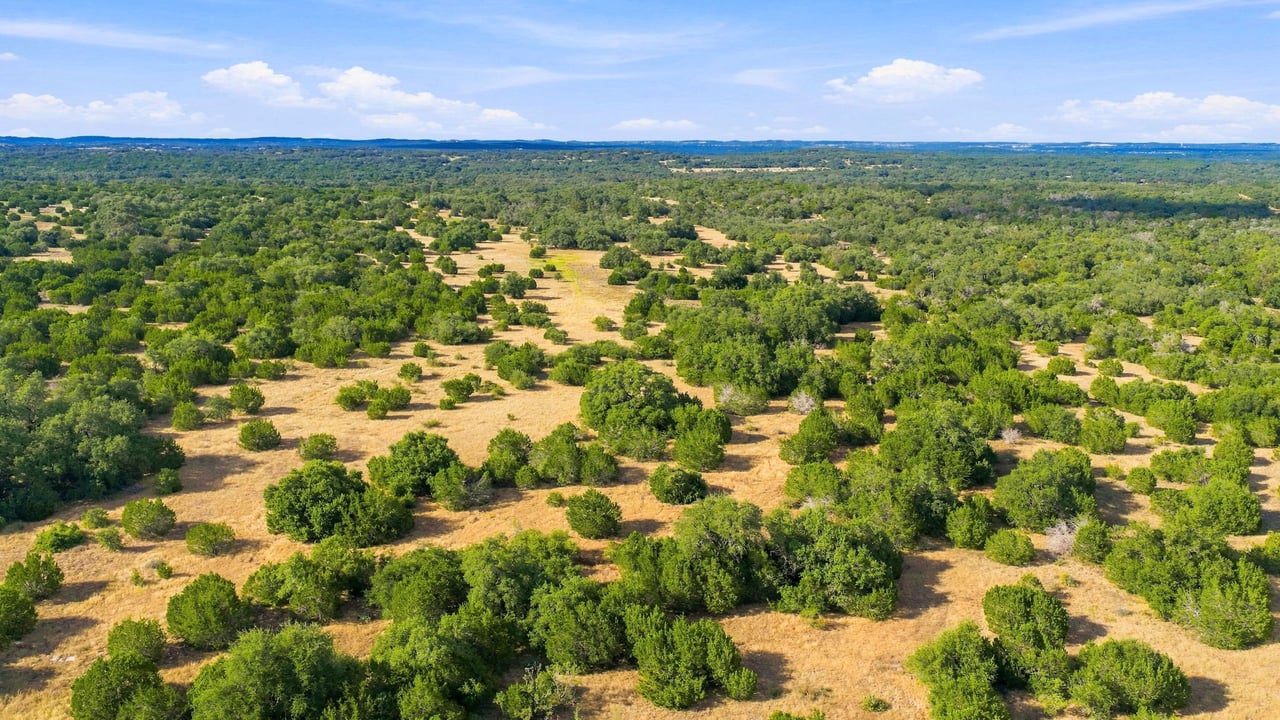Aerial view of Texas Hill Country ranchland with scattered trees and golden clearings.