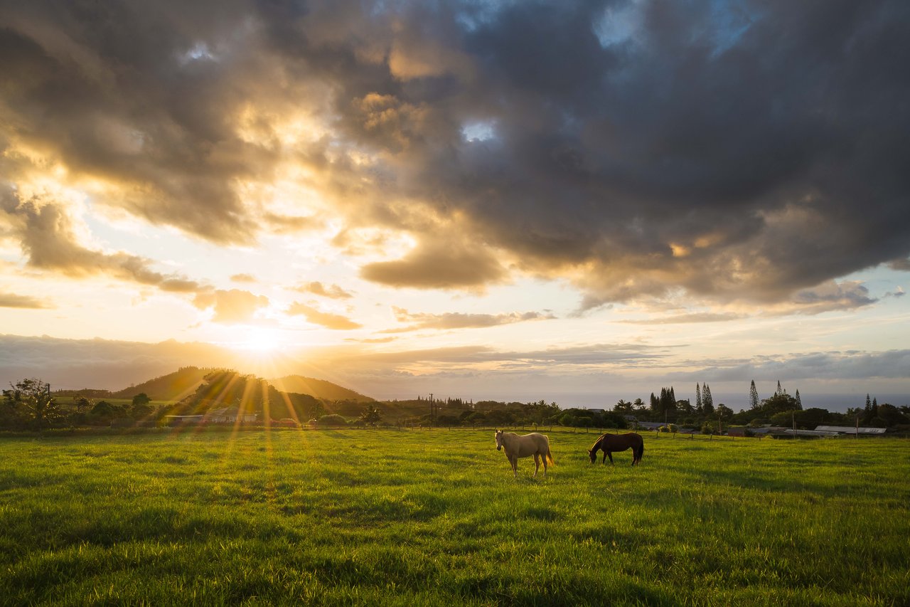Blue Rock Ranch, Maui