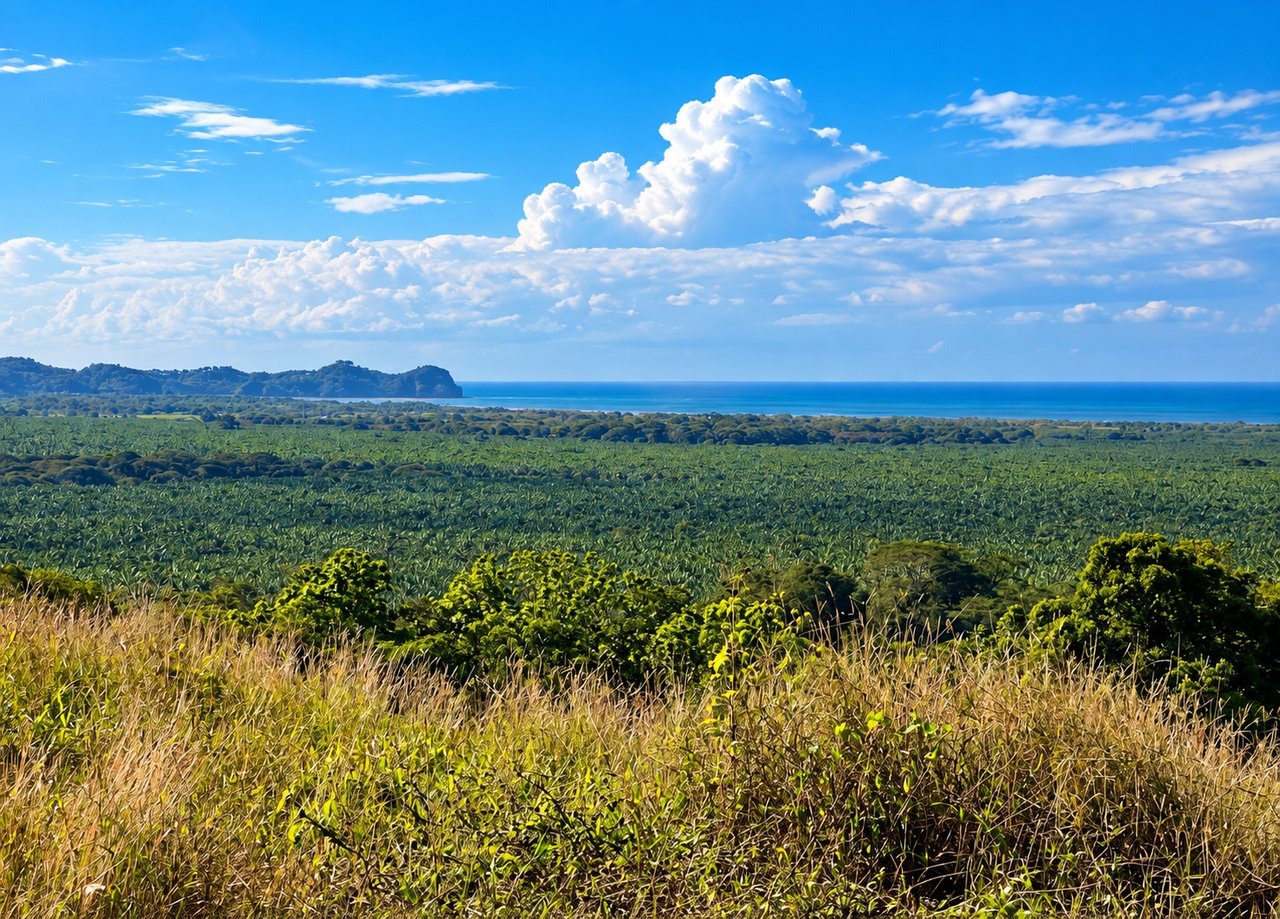 Vista Grande, 235 Acres with 6 bed home and Pool, (HUGE PRICE REDUCTION)